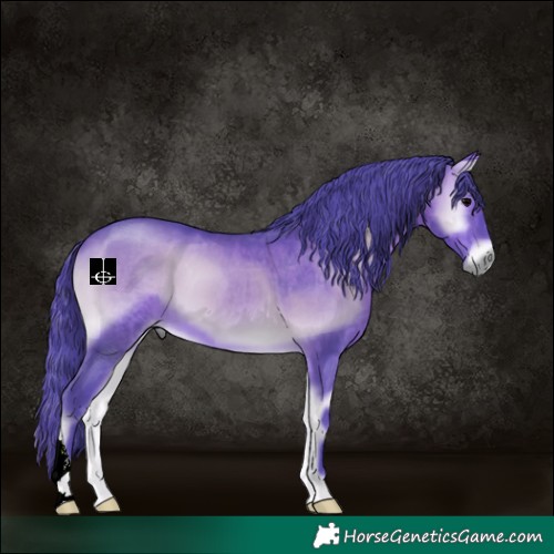 Horse Color:Watercolor Brown Onyx 