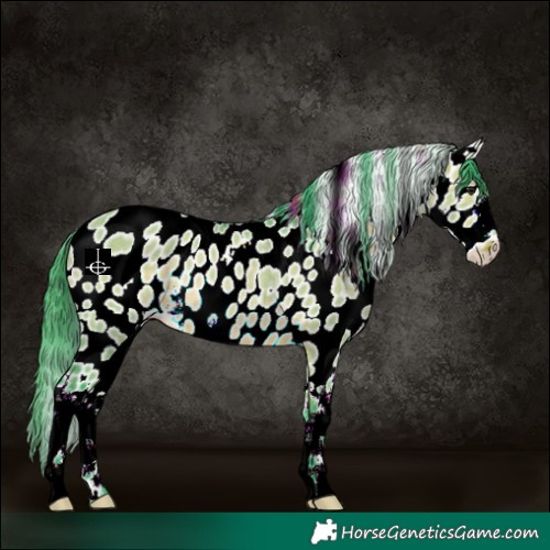 Horse Color:Watercolor White Spotted Bay Dun Appaloosa Rabicano 