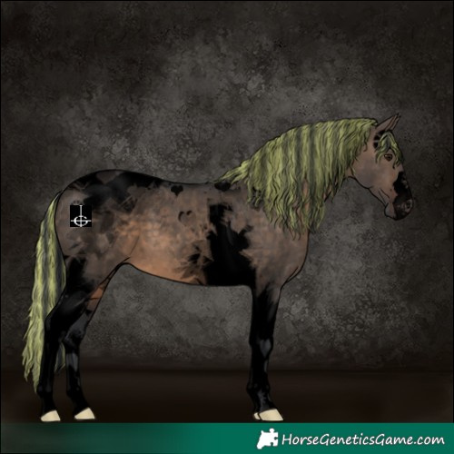 Horse Color:Void Painted Brown Dun Tobiano 