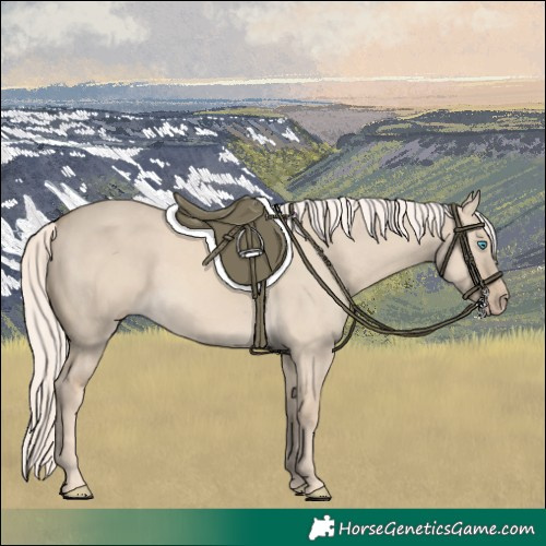 Horse Color:Cremello Dun 