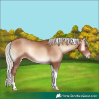 Horse Color:Silver Sable Champagne Onyx Tobiano 