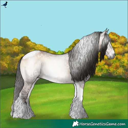 Horse Color:Gray Bay Ice Onyx Tobiano