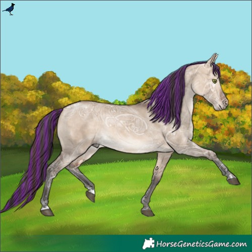 Horse Color:Painted Bay Ice Dun