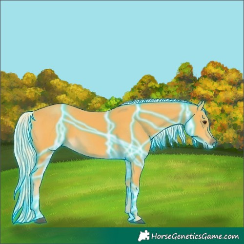 Horse Color:Thunderstruck Palomino