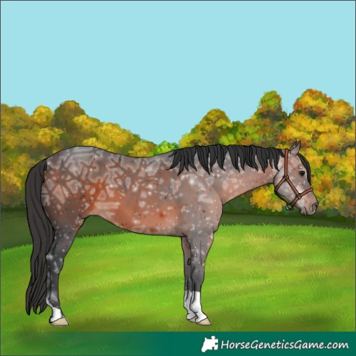 Horse Color:Brown Ice