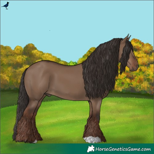 Horse Color:Liver Red Dun