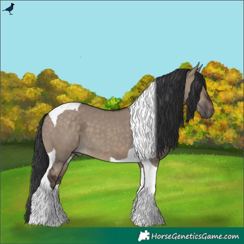 Horse Color:Brown Dun Tobiano