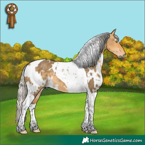 Horse Color:White Spotted Silver Buckskin Dun Tobiano 