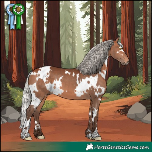 Horse Color:White Spotted Silver Brown 