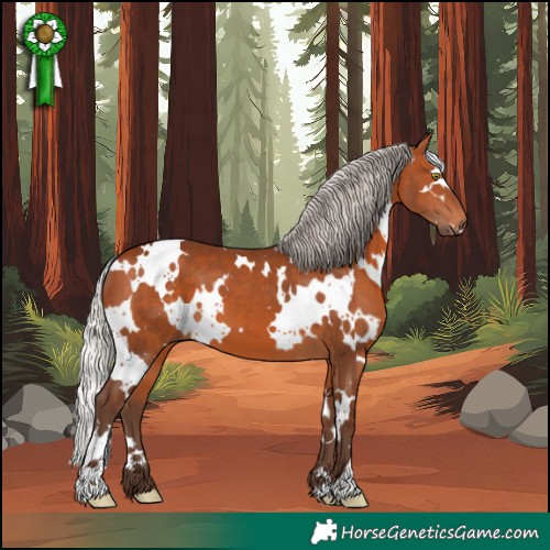 Horse Color:White Spotted Silver Brown 