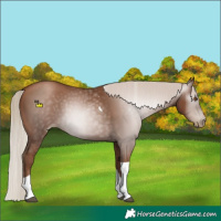 Horse Color:Gray Silver Black Pearl Tobiano 