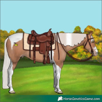 Horse Color:Silver Sable Champagne Tobiano