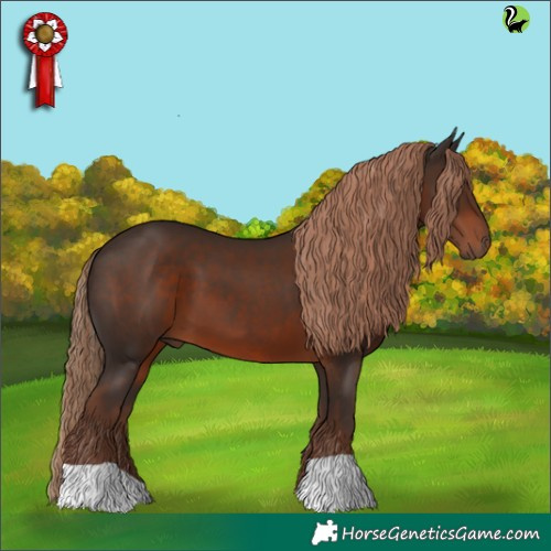 Horse Color:Liver Chestnut 