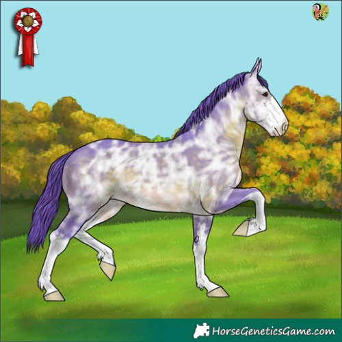 Horse Color:Watercolor Brown Ice Sabino 