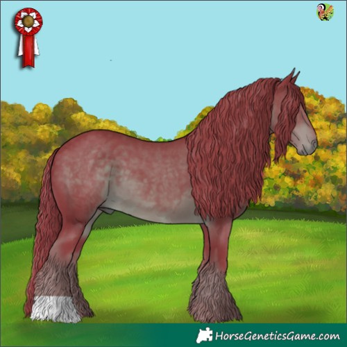 Horse Color:Watercolor Liver Chestnut 