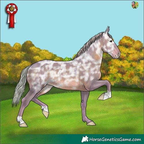 Horse Color:Watercolor Silver Black Ice 