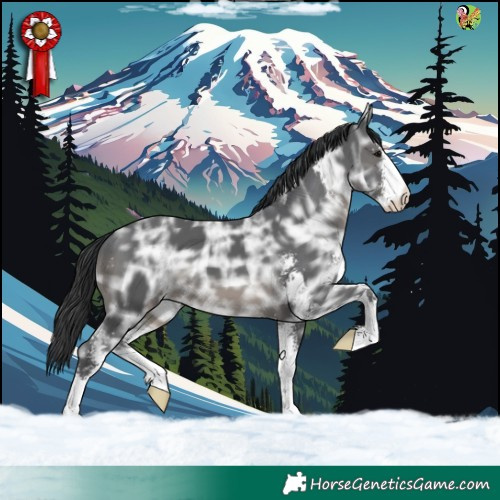 Horse Color:Black Ice Sabino 