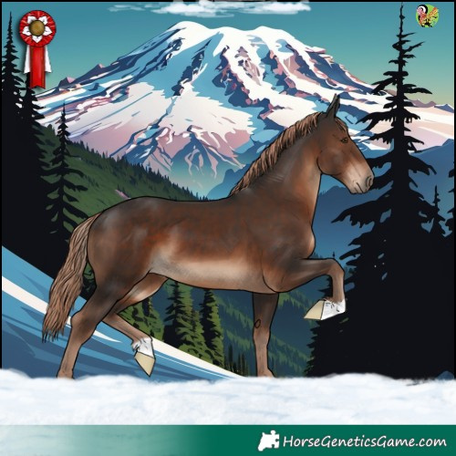 Horse Color:Liver Chestnut 
