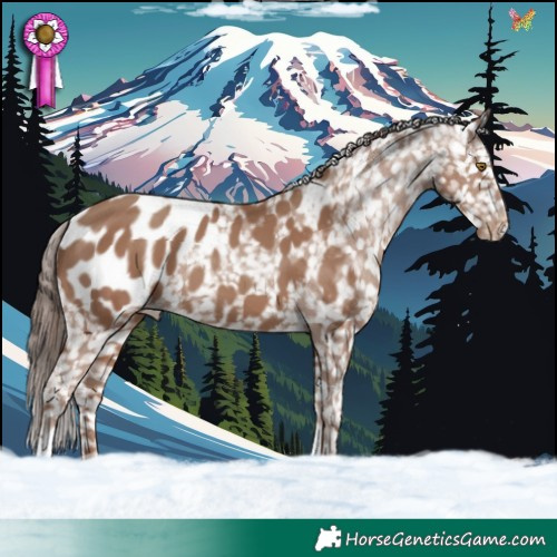 Horse Color:Classic Champagne Blanket 