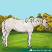 Horse Color:Silver Smoky Grullo Roan Tobiano 