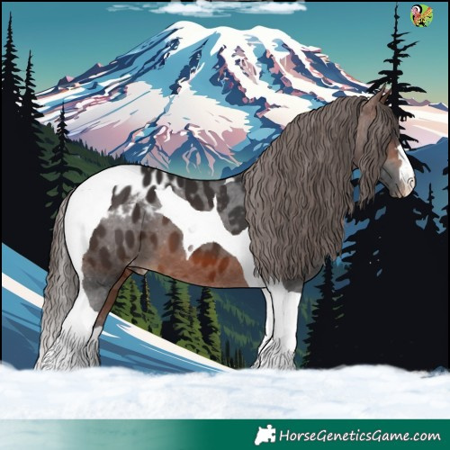 Horse Color:Brown Tobiano Appaloosa 