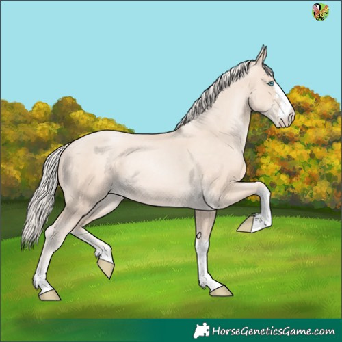 Horse Color:Gold Cream Champagne Pearl 