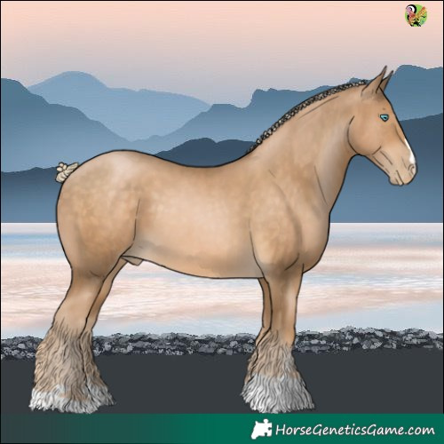 Horse Color:Chocolate Palomino Pearl 