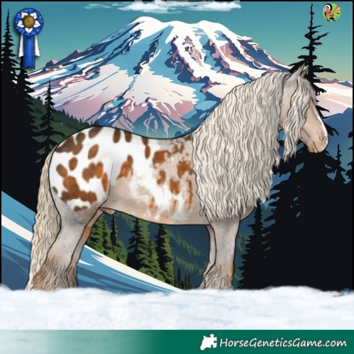 Horse Color:Chocolate Palomino Blanket 
