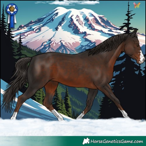 Horse Color:Liver Chestnut 
