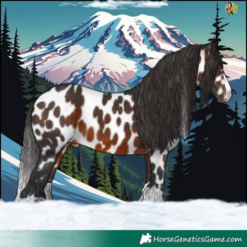 Horse Color:Brown Near Leopard 