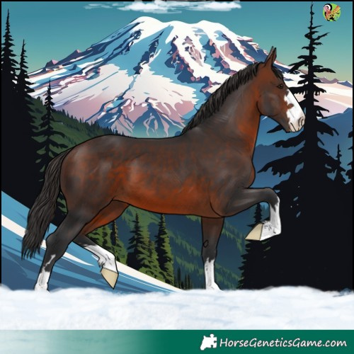 Horse Color:Brown 