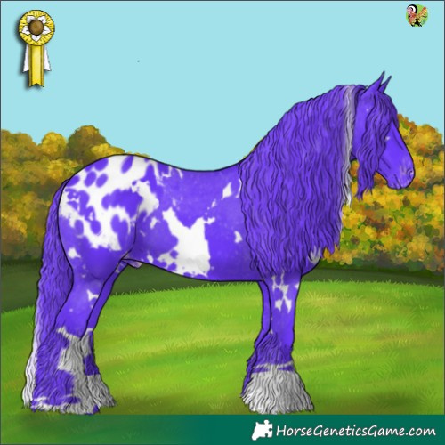 Horse Color:Watercolor White Spotted Black Appaloosa 