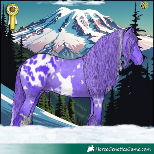 Horse Color:Watercolor White Spotted Black Appaloosa 