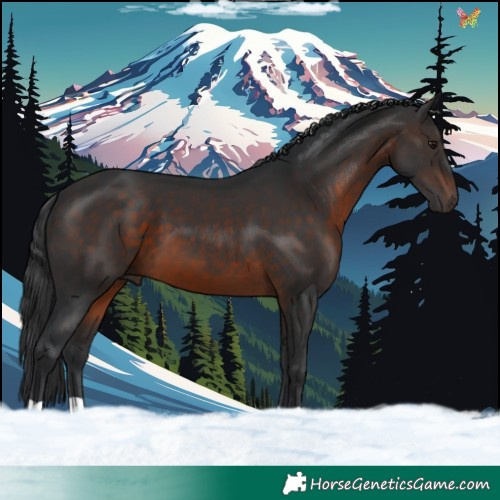 Horse Color:Brown 