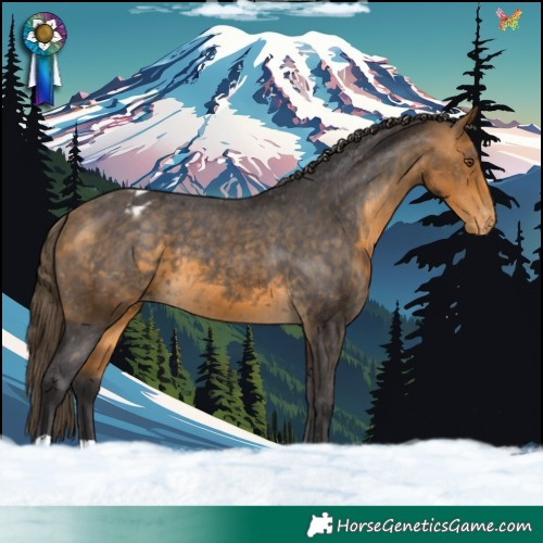 Horse Color:Buckskin Varnish 