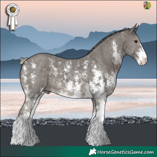 Horse Color:Silver Black Sabino 