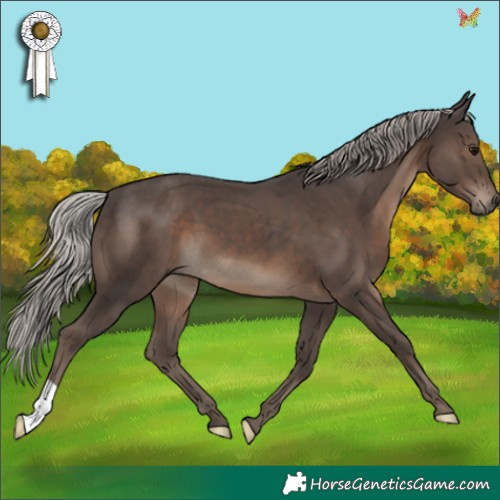 Horse Color:Silver Black 