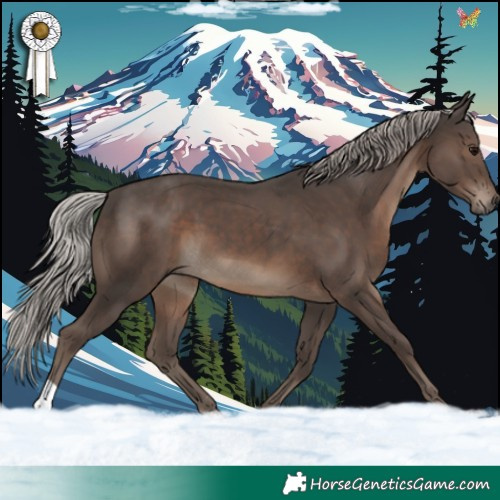 Horse Color:Silver Black 