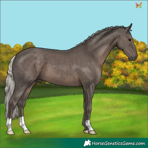 Horse Color:Silver Black 