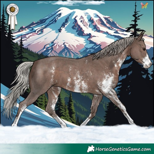 Horse Color:Silver Black Sabino 