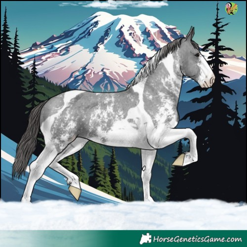 Horse Color:Black Sabino Tobiano Varnish 