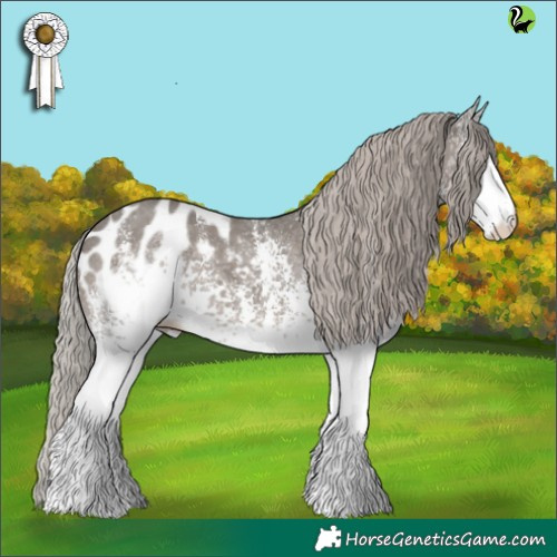 Horse Color:White Spotted Silver Black Sabino Appaloosa 