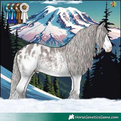 Horse Color:White Spotted Silver Black Sabino Blanket 