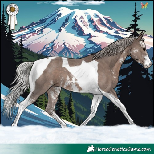 Horse Color:Silver Black Sabino Tobiano 