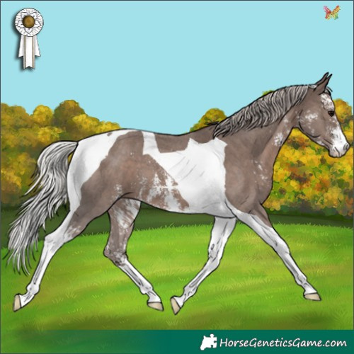 Horse Color:Silver Black Sabino Tobiano 