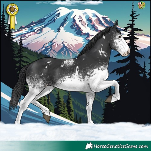 Horse Color:White Spotted Black 