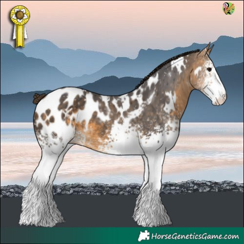 Horse Color:White Spotted Buckskin Blanket 