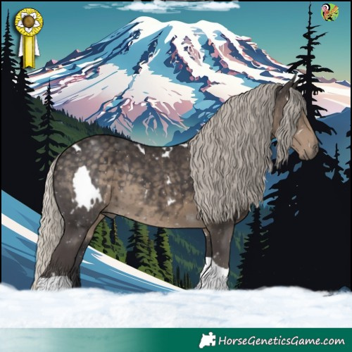 Horse Color:White Spotted Silver Smoky Black Tobiano 