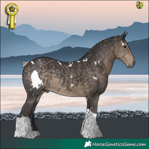 Horse Color:White Spotted Silver Smoky Black Tobiano 
