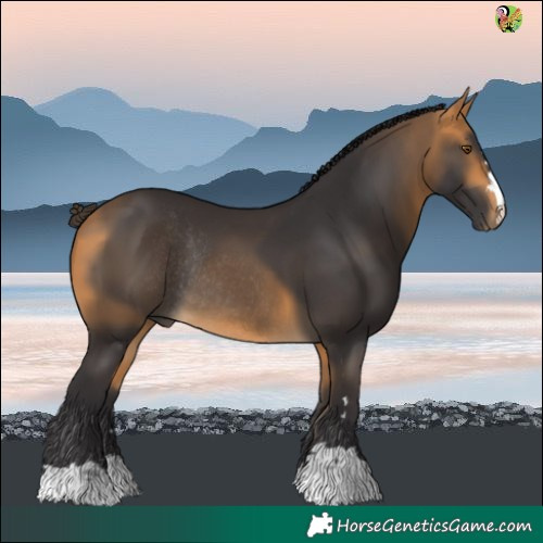 Horse Color:Buckskin Rabicano 